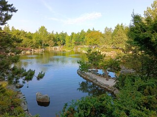 Poster - View of the Japanese garden with a pond and coniferous trees.