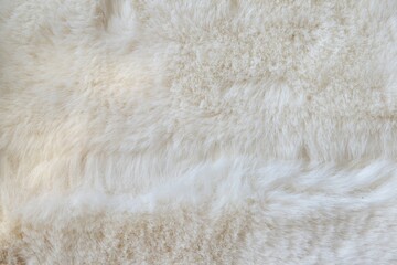 Wall Mural - Fur texture