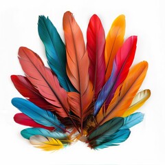 Poster - colorful feathers arranged in fan shape, creating a vibrant and artistic display on a clean white ba