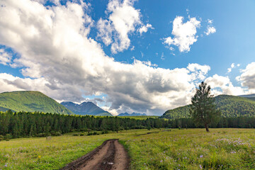 Wall Mural - The road to the Multinskoye lake. The Multin lakes near Multa village, Altai republic, Russia