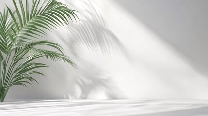 Poster - Tropical palm leaves casting shadows on white wall in empty room