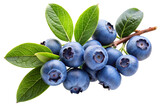 blueberries isolated on white background