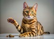 © Arnada - Bengal Cat Reaches for Food with Its Paw in Minimalist Style - Capturing the Elegance and Curiosity of This Playful Feline in a Clean and Simple Composition