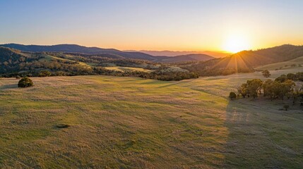 Poster - Wide open grassy field with gentle hills and distant trees at sunset 