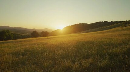 Aufkleber - Wide open grassy field with gentle hills and distant trees at sunset 