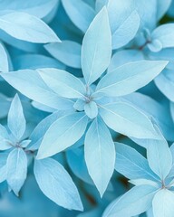 Aufkleber - Lush Blue Ivy Leaves Creating a Serene Atmosphere in a Tranquil Garden Setting