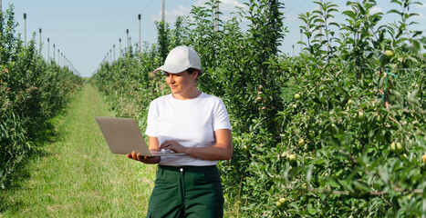 Aufkleber - Farmer controls conditions in the garden of fruits and sends data to the cloud from the laptop. Smart farming and digital agriculture.