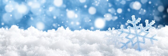 Poster - Winter Wonderland Scene With Freeze Warning and Sparkling Snowflakes at Dawn