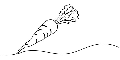 Poster - Continuous one line drawing of isolated carrot outline vector art illustration, Simple carrot in continuous one line art drawing design, Growing carrot plant minimalist outline vector, one line draw 
