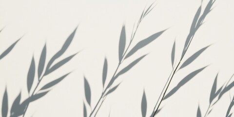 Poster - Soft shadows of plant leaves cast on a light surface create a delicate, serene atmosphere in natural light