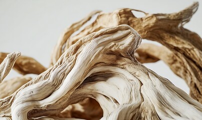 Wall Mural - Intricate Curves Of Weathered Driftwood Sculpture