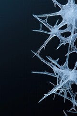 Poster - Intricate frost patterns create a delicate winter wonderland with sharp, crystalline structures against a dark backdrop.