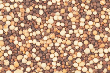 Poster - Detailed texture pattern of quinoa showcasing a range of colors and shapes in a natural setting