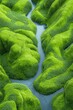 © Espresso - Aerial view of vibrant green hills and a serene river winding through lush vegetation in a peaceful landscape.