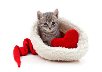 Wall Mural - Kitten in christmas hat with heart.