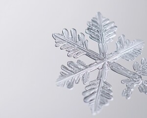 Poster - A close-up of a delicate ice crystal snowflake showcasing intricate patterns and translucent details against a soft background.
