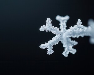 Poster - Close-up of an intricate snowflake on a dark background, showcasing its stunning crystal formations.
