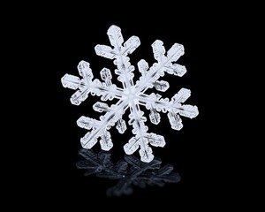 Poster - Intricate snowflake design captured on a black background, showcasing its delicate and unique crystal structure.