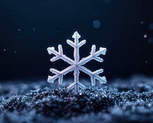 Poster - A stunning close-up of a snowflake resting on a dark, textured surface, showcasing intricate patterns and sparkling details.
