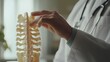 © AN STOCK - Close-up of a doctor pointing to a spine model, symbolizing spinal healthcare and back pain treatment