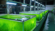 © Lerson - Bioluminescent algae glowing in photobioreactor tanks, showcasing vibrant green colors and innovative technology