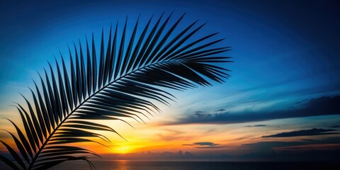 Wall Mural - Palm leaf silhouette against dark black sky with blue light sunset at dusk , palm leaf, silhouette, dark, black sky, blue light