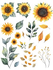 Canvas Print - Watercolor sunflowers and leaves