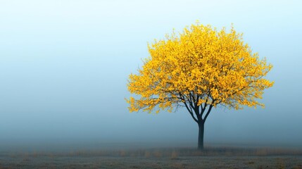 Poster - Mysterious fog idea. A solitary yellow tree stands vividly against a misty, ethereal landscape.