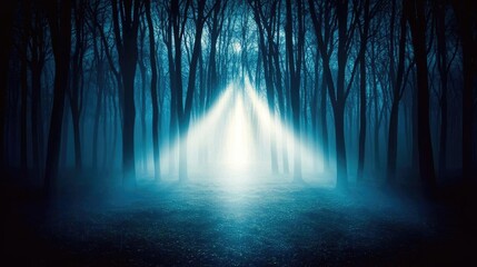 Poster - Mysterious fog idea. Eerie forest scene with mist and light creating a mystical atmosphere.