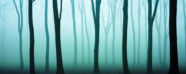 Poster - Mysterious fog idea. Mysterious foggy forest with tall trees creates a serene and tranquil atmosphere.