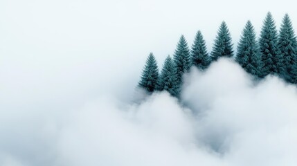 Poster - Mysterious fog idea. Misty forest landscape with evergreen trees emerging from thick fog.