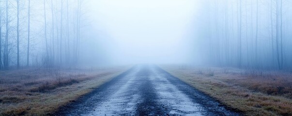 Poster - Mysterious fog idea. A serene, foggy road leading through a tranquil forest landscape in muted tones.