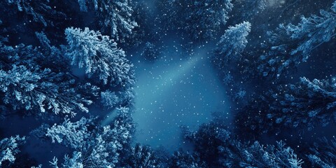 Sticker - Snowy Forest Landscape