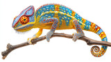 Blue and orange chameleon isolated on white background