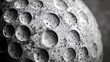© Salman - Close-up of a textured, round, grey object with circular indentations.