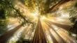 © harryaishi - Majestic redwood trees in misty forest, sunlight streaming through canopy.