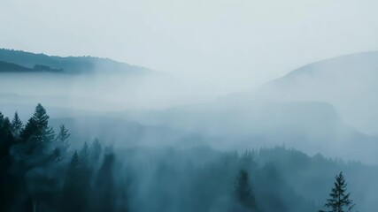 Poster - Misty morning in the mountains showcasing serene landscapes with pine trees and rolling hills