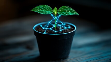 Wall Mural - Futuristic Green Seedling with Neon Lines and Digital Connections in a Black Pot on Wooden Surface