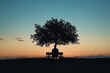 © Pir8prints - Silhouette of Solitude: A lone figure sits on a bench beneath a silhouetted tree, bathed in the warm glow of a setting sun, symbolizing introspection, peace, and the beauty of solitude.