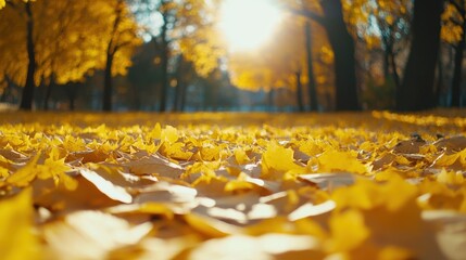 Sunlit Autumn Forest Floor Covered in Bright Yellow Leaves and Soft Light