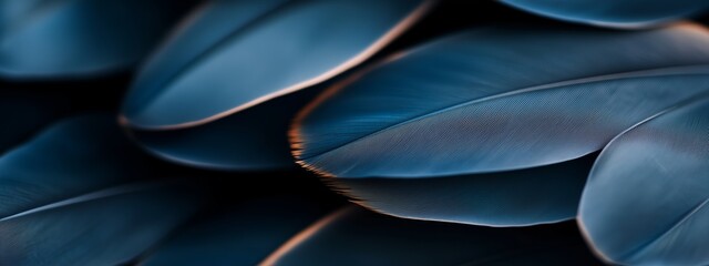 Poster - Dark blue leaves with intricate textures create a stunning visual contrast in soft light