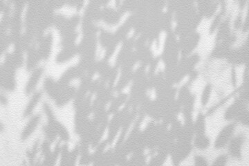 Wall Mural - leaves shadow on white stucco wall background.