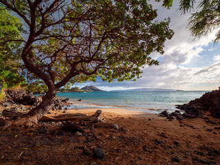 Wall Mural - Follow me with a sundowner at the Maui Makena Beach view during summer time