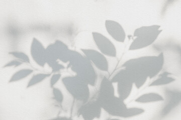 Fototapete - Leaf shadow and light on wall blur background. Nature tropical leaves tree branch plant shade sunlight on white wall texture shadow overlay effect foliage mockup, graphic layout, wallpaper, design
