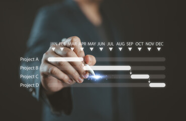 Aufkleber - Project milestones, progress planning, schedule proceeding and summary reports. Project manager or engineer manages construction with Gantt chart schedules. Software for tracking operation procedures.