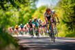 © ty - Cyclists race along country roads on a sunny day in a bicycle road race