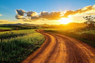 Wall Mural - Serene dirt road winding through lush green fields under a vibrant sunset, perfect for nature-themed projects.