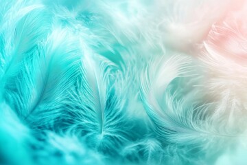 Poster - A stunning green turquoise background with a feathery texture, highlighted by orange light.