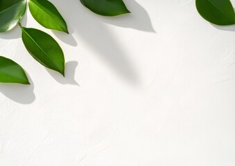 Leinwandbilder - Serene Leaf Shadows on White Background Embracing Simplicity and Harmony