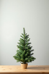 Poster - A small pine tree is placed on a wooden table in front of a simple background for a mock up._00003_